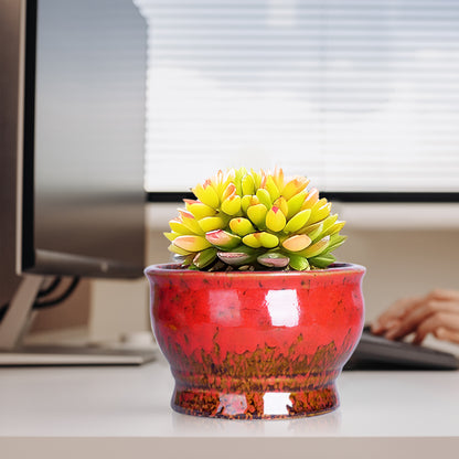 Cute 4.3 Inch Succulent Planter Pot Modern Ceramic Cactus Glaze Flowers Pots with Drainage