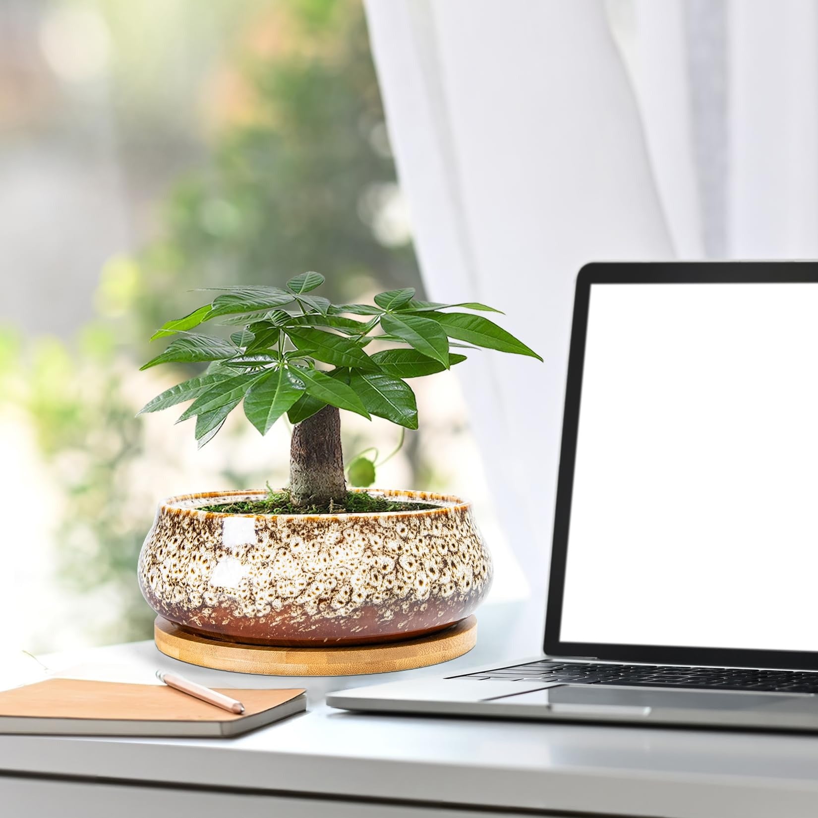 ARTKETTY Succulent Pots - 8 Inch Large Plant Pots, Shallow Planters | Ceramic Bonsai Pots with Drainage Tray, Round Cactus Flower Plant Container Bowl Decorative Home Garden