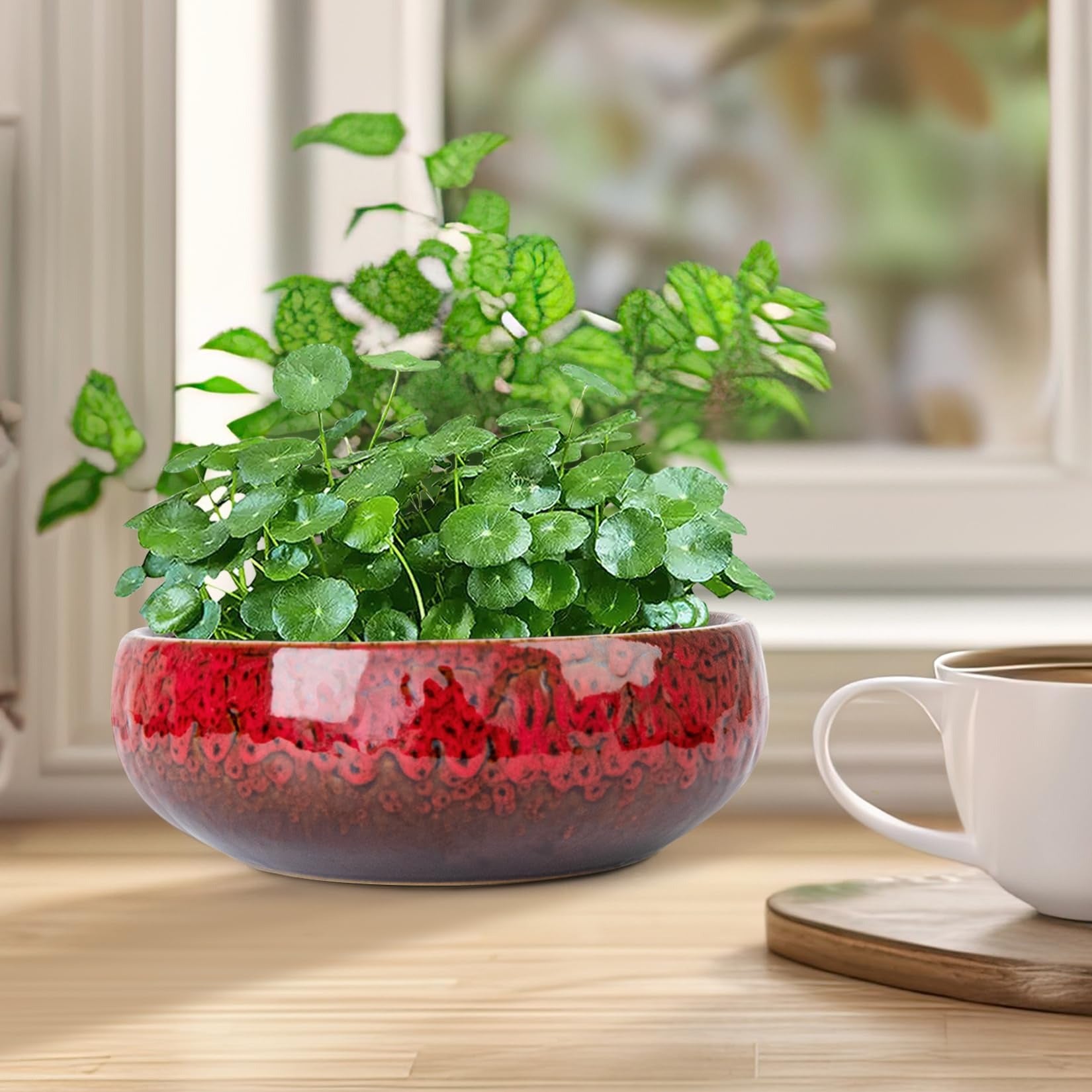 ARTKETTY Lotus Bowl Planter - 8 Inch Large Lotus Flower Bowl for Water Plants, Ceramic Bonsai Bowl for Hydroponic Plant Succulent Plants Indoors Outdoor