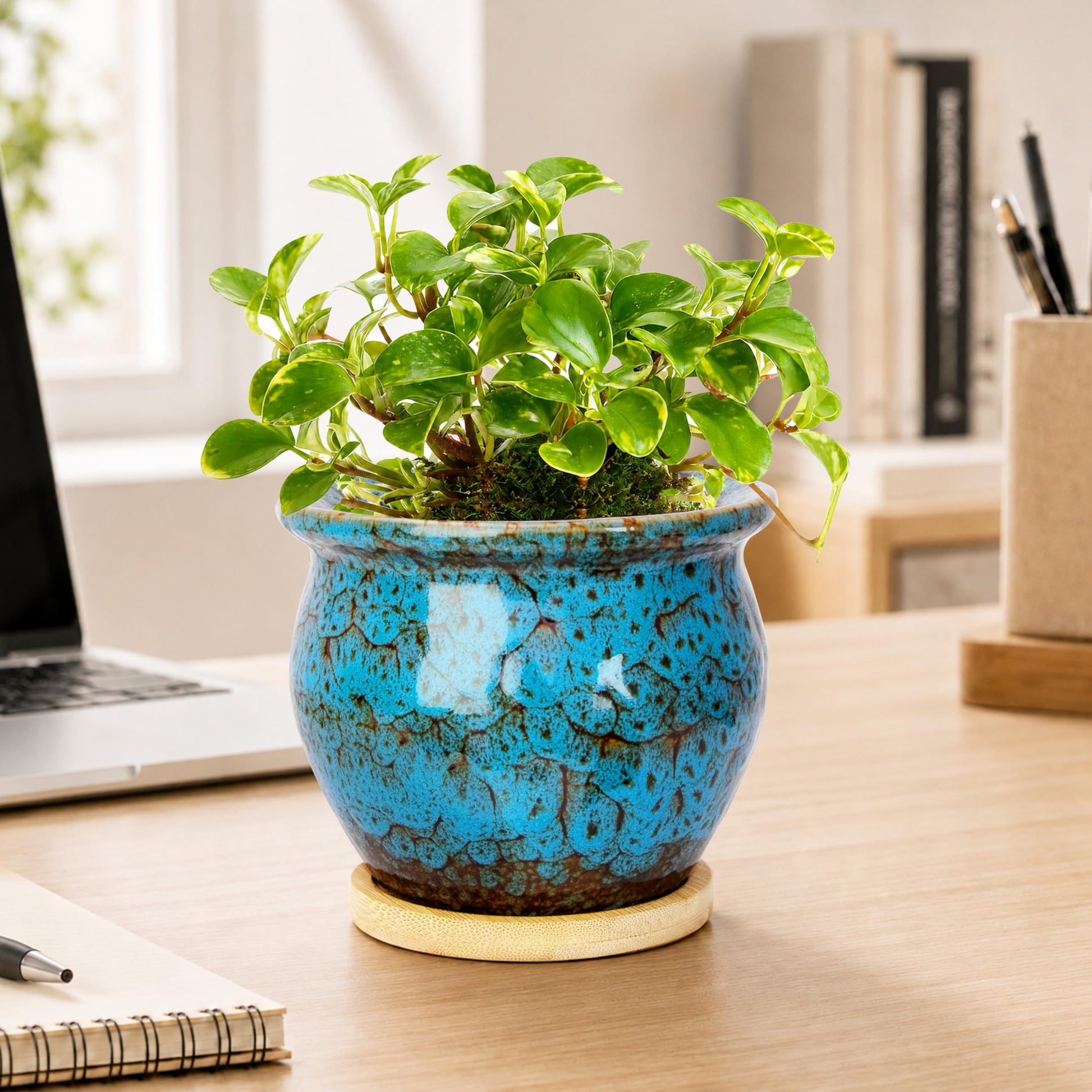 ARTKETTY 4.5 Inch Plant Pots, Small Pots for Plant Indoor, Ceramic Planter with Tray