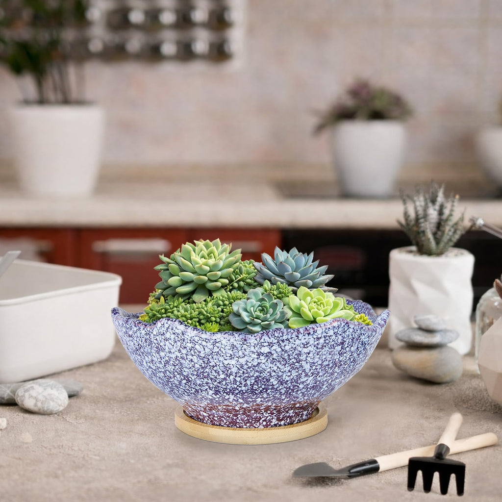 ARTKETTY Bonsai Pots - 9.06 Inch Large Plant Pots, Unique Succulent Pots with Drainage Tray, Ceramic Planters for Indoor Cactus Flower Plants Round Bonsai Tree Pots Decorative Home Office