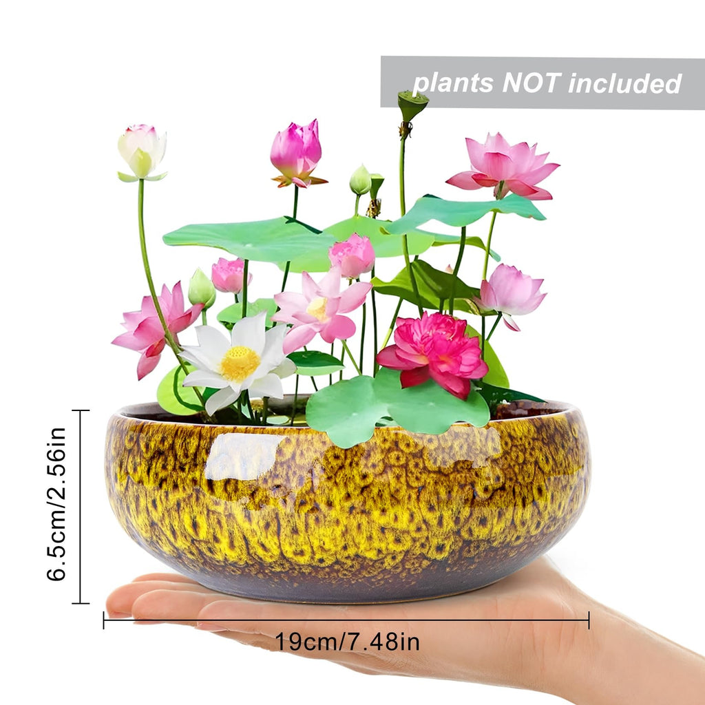 ARTKETTY Lotus Bowl Planter - 8 Inch Large Lotus Flower Bowl for Water Plants, Ceramic Bonsai Bowl for Hydroponic Plant Succulent Plants Indoors Outdoor