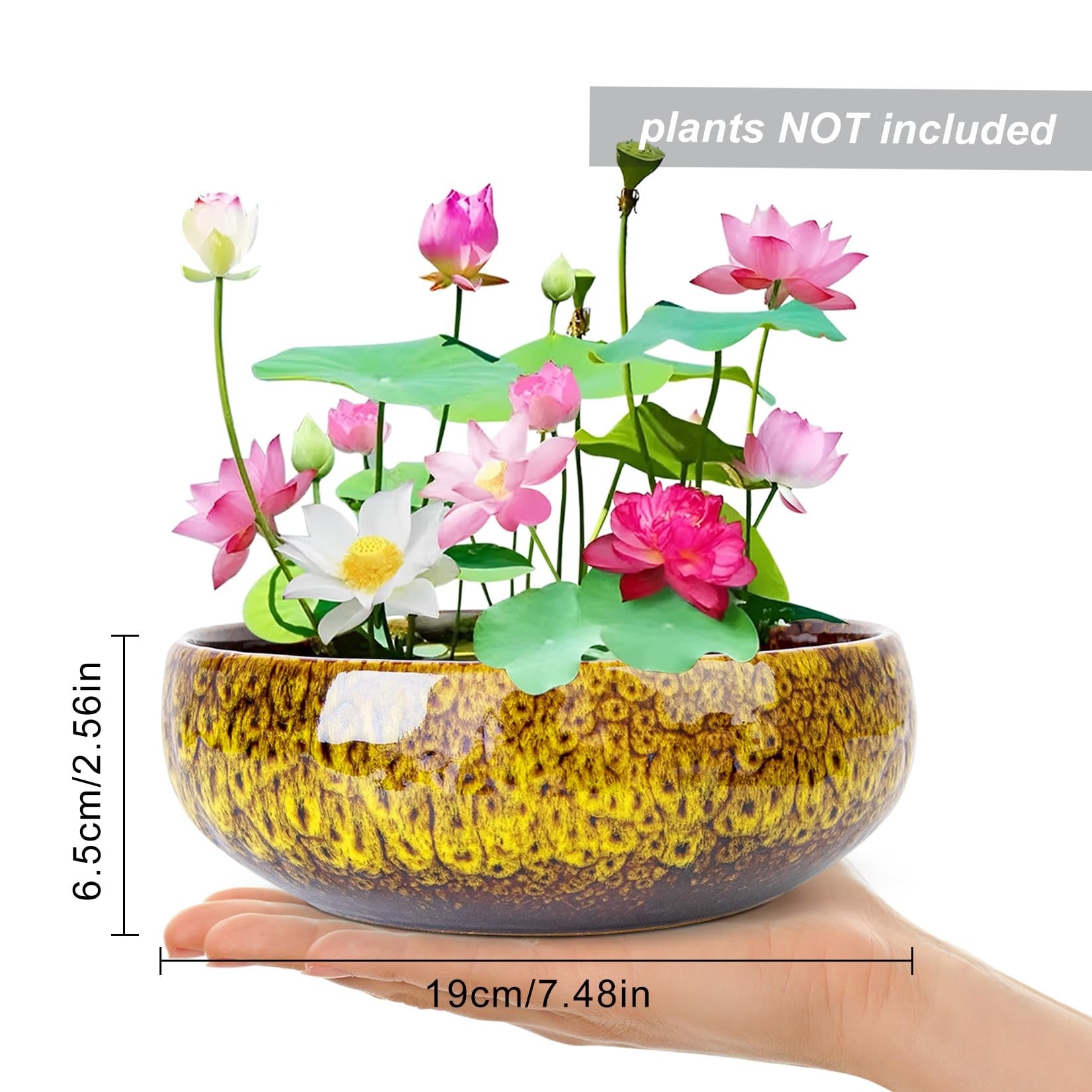 ARTKETTY Lotus Bowl Planter - 8 Inch Large Lotus Flower Bowl for Water Plants, Ceramic Bonsai Bowl for Hydroponic Plant Succulent Plants Indoors Outdoor