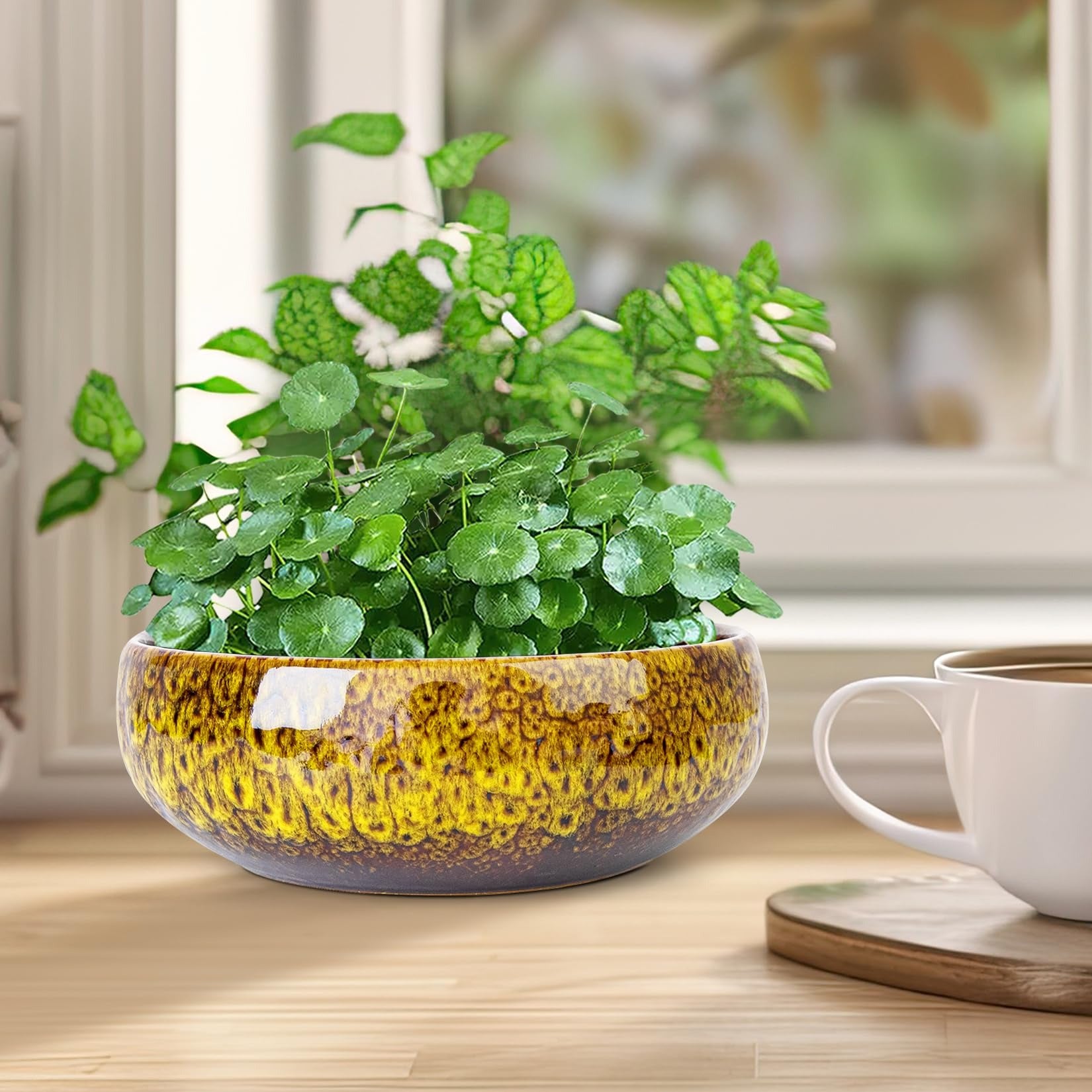 ARTKETTY Lotus Bowl Planter - 8 Inch Large Lotus Flower Bowl for Water Plants, Ceramic Bonsai Bowl for Hydroponic Plant Succulent Plants Indoors Outdoor
