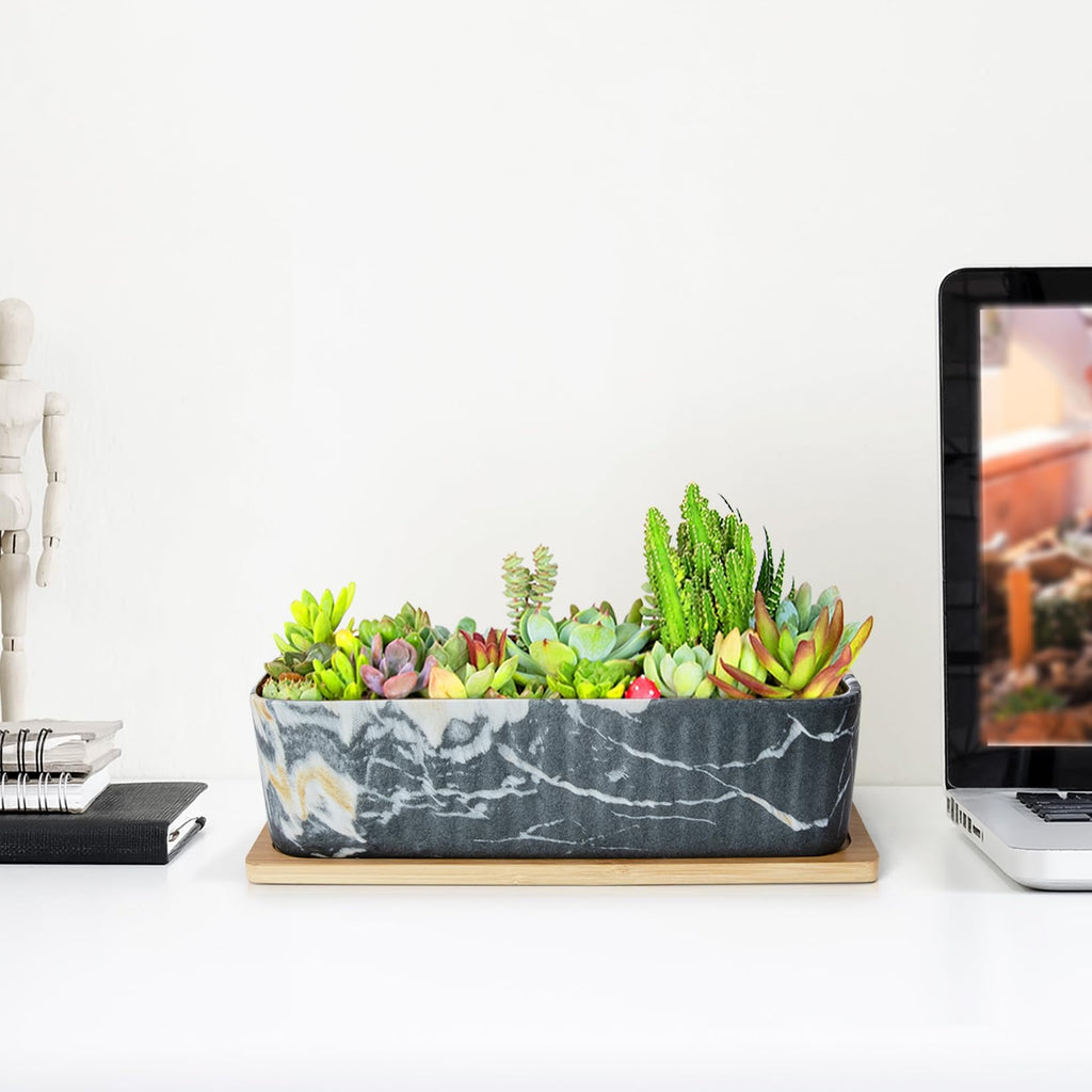 ARTKETTY 12'' Large Long Rectangular Planter, Ceramic Succulent Pots with Drainage Tray, Shallow Windowsill Succulent Planters for Indoor Cactus Bonsai Plants, Marble Window Box Home Office Decor