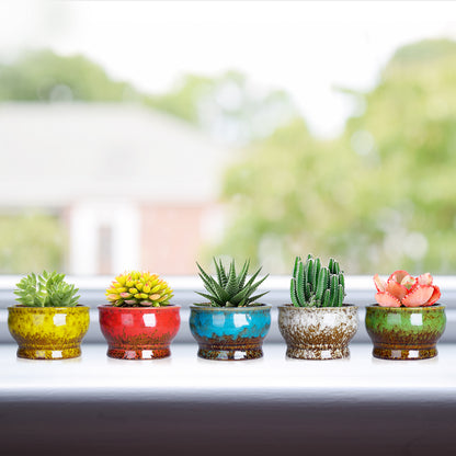 Cute 4.3 Inch Succulent Planter Pot Modern Ceramic Cactus Glaze Flowers Pots with Drainage
