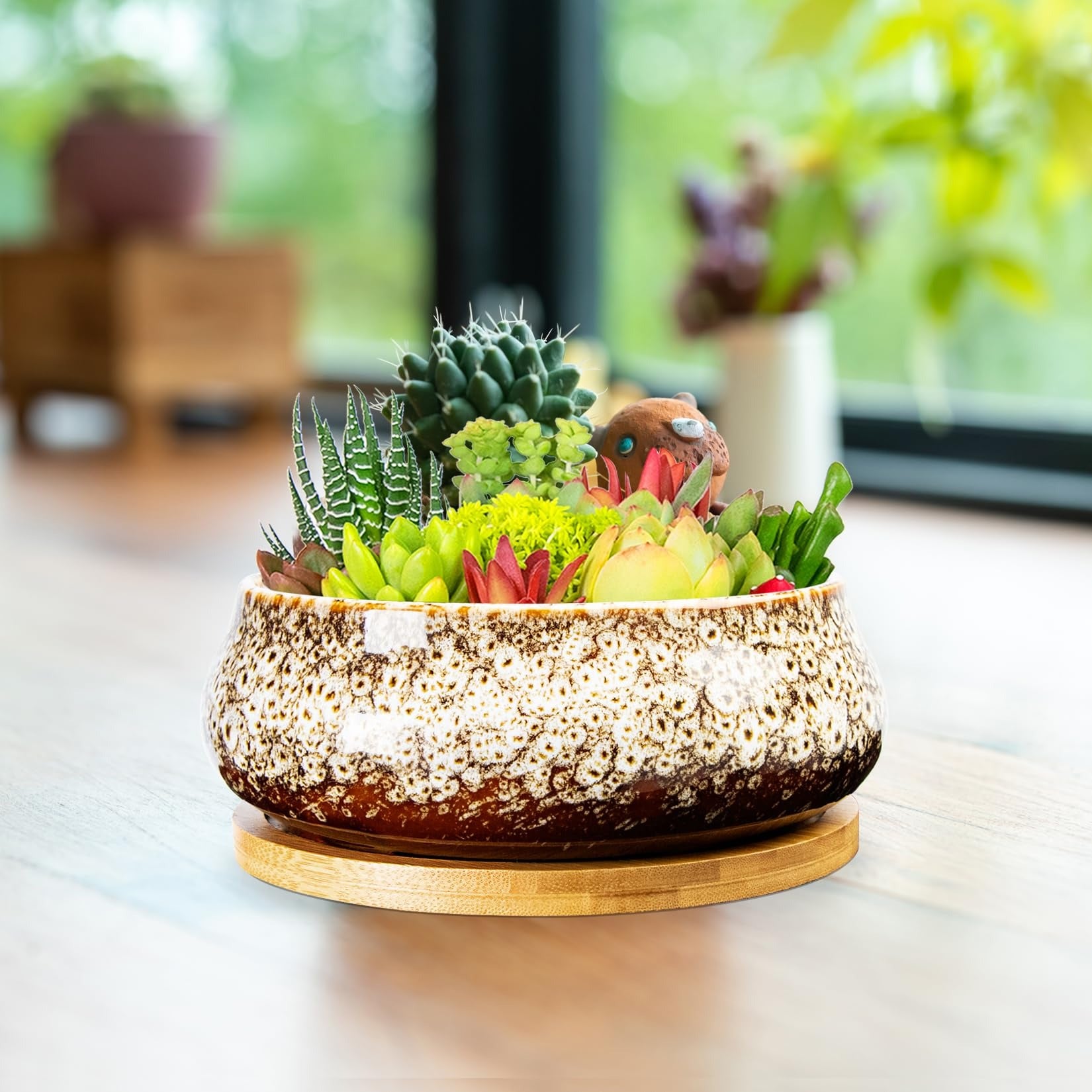 ARTKETTY Succulent Pots - 8 Inch Large Plant Pots, Shallow Planters | Ceramic Bonsai Pots with Drainage Tray, Round Cactus Flower Plant Container Bowl Decorative Home Garden
