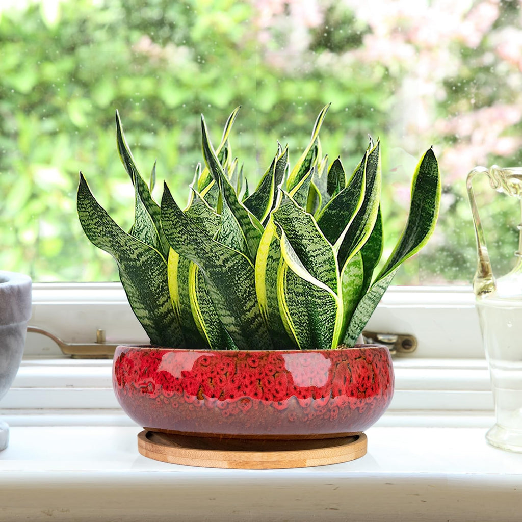 ARTKETTY Succulent Pots, 7.5 Inch Large Plant Pots with Bamboo Tray | Shallow Bonsai Pots with Drainage, Ceramic Planter for Indoor Plants, Cactus, Home Office Desk Decor