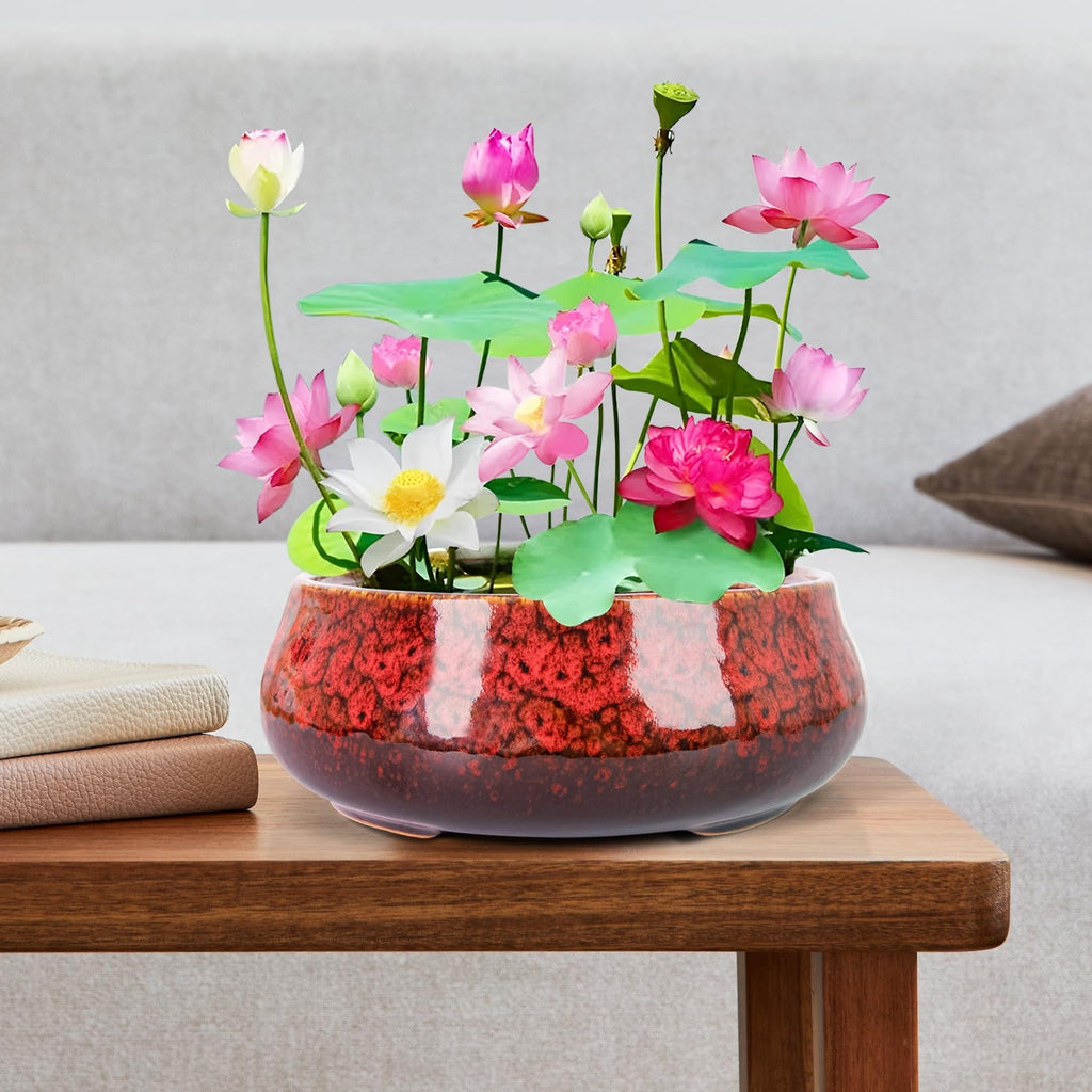 Lotus Bowl Planter - 8 Inch Large Lotus Flower Bowl for Water Plants, Ceramic Hydroponic Planter Water Lily Bowl for Planting Aquatic and Indoor Succulent Plants and Bonsai