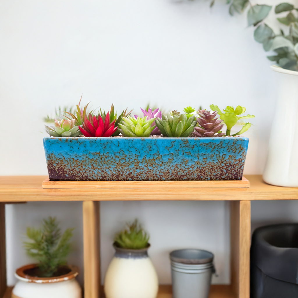 12 inch pots for outdoor plants 12 Inch Succulent Pots Long Rectangle Succulent Planter Pots with Dra