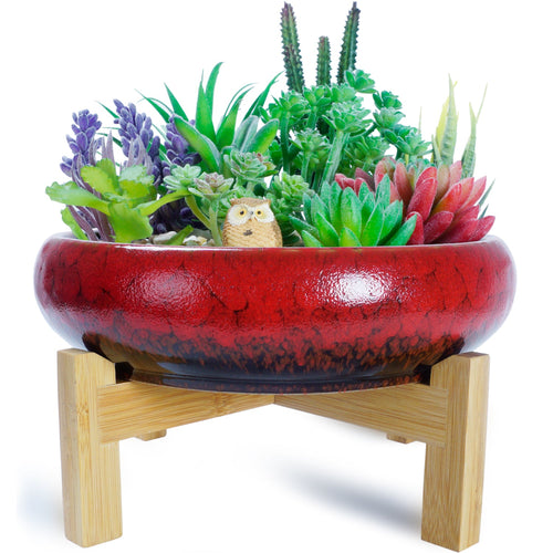 succulent large pot Large Succulent Pot with Drainage, 10 Inch Round Succulent Planter Po – artketty