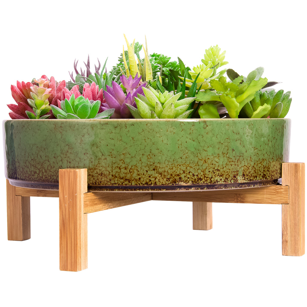 shallow succulent pots Succulent Pot