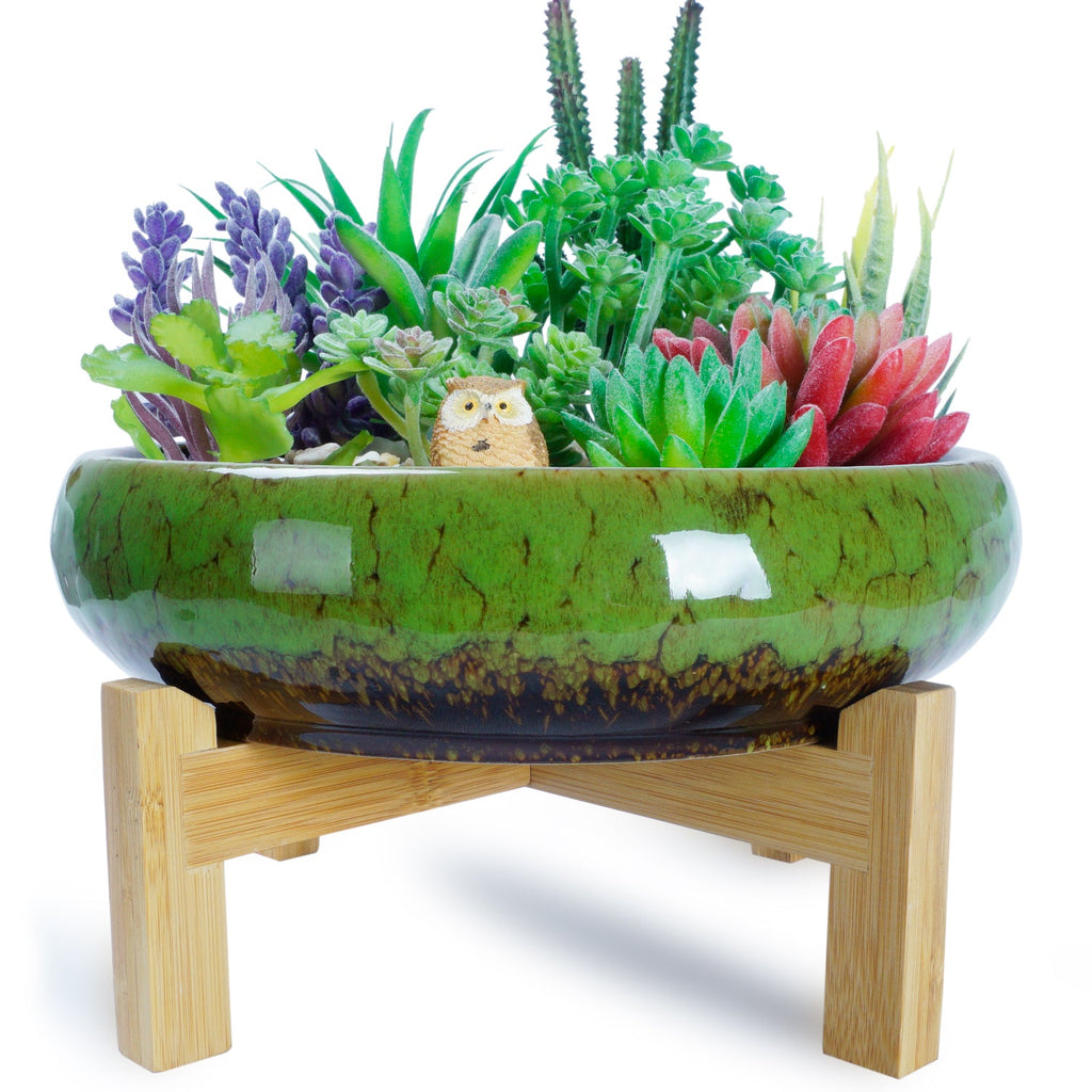 large succulent pots for sale Large Succulent Pot with Drainage, 10 Inch Round Succulent Planter Po
