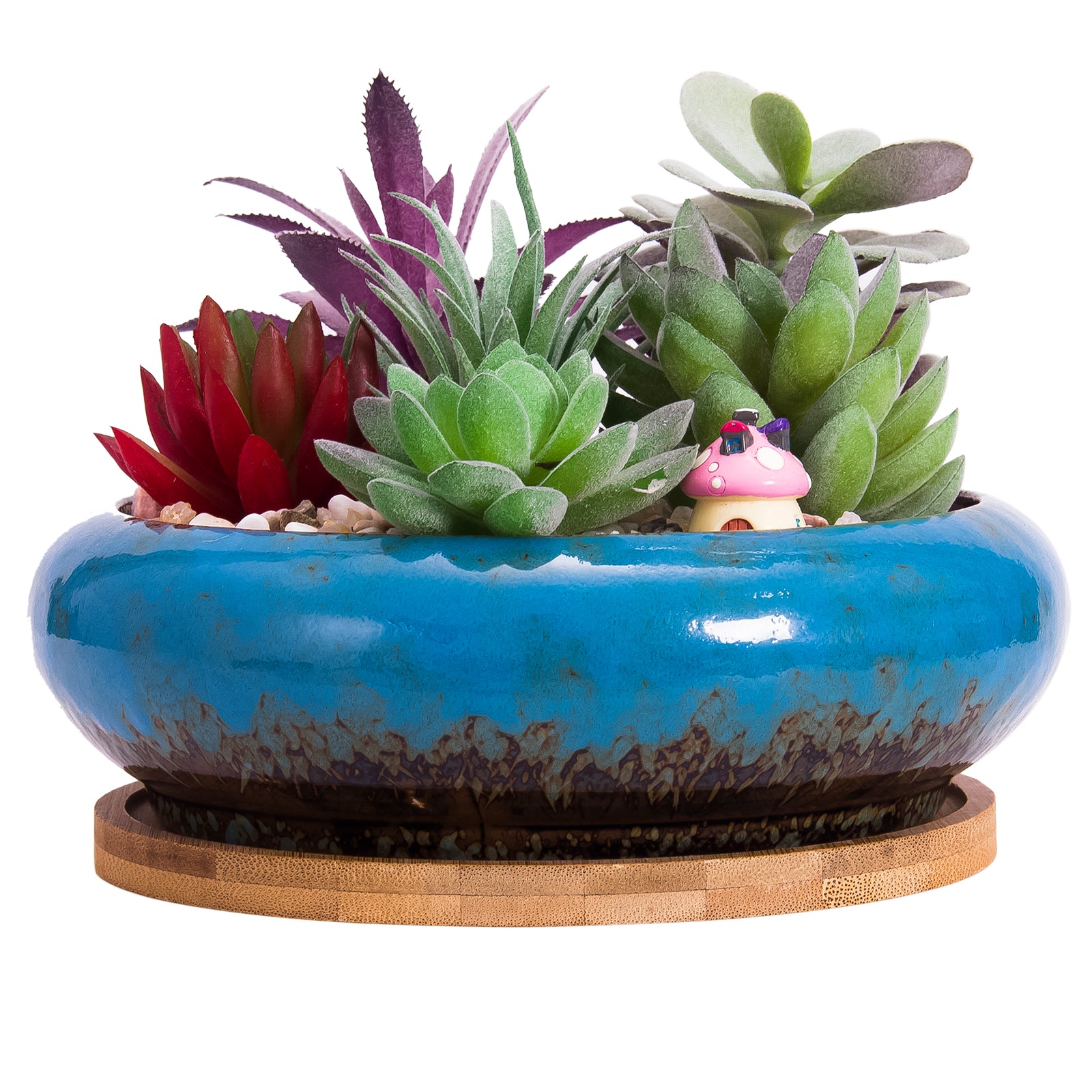succulents in blue pots 7.3 inch Round Succulent Planter Pots with Drainage Hole Bonsai Pots – artketty