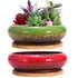Red/Greem