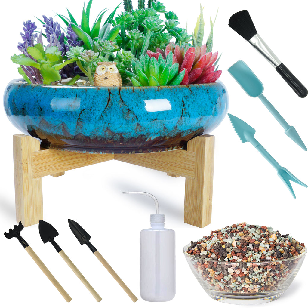 rocks for succulent drainage Succulent Pots with Drainage