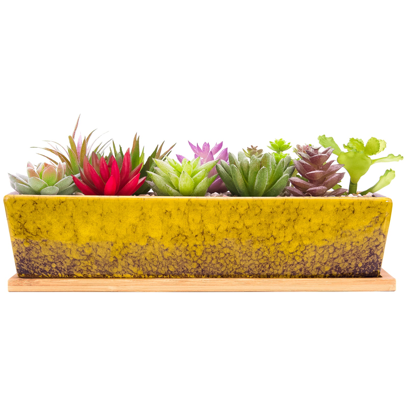 large rectangular succulent planter 12 Inch Succulent Pots Long Rectangle Succulent Planter Pots with Dra