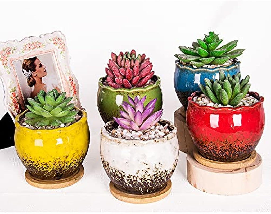 4 oz succulent pot Succulent Pots, 4 Inch Small Succulent Planter Pot with Drainage Bamb