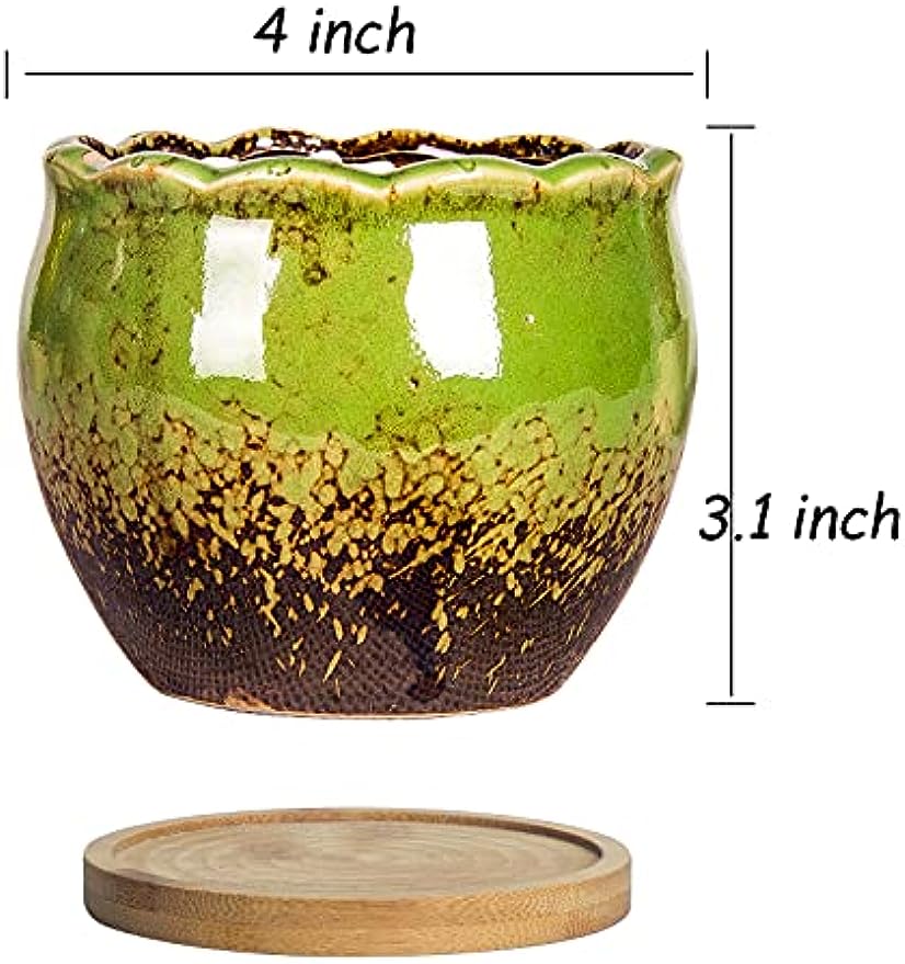 4 inch succulent pot Succulent Pots, 4 Inch Small Succulent Planter Pot with Drainage Bamb – artketty