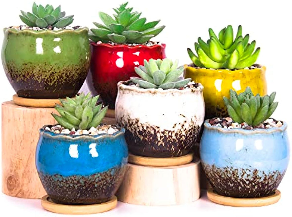 succulent plant pot set Succulent Pots, 4 Inch Small Succulent Planter Pot with Drainage Bamb