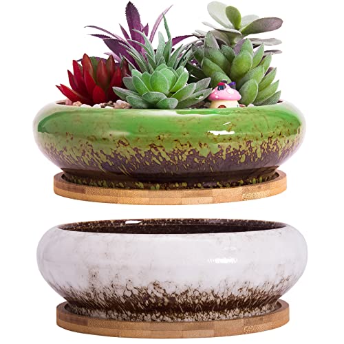 Succulent Pots, 7.3 Inch Succulent Planter Pots with Drainage Hole Pack of 2, Shallow Bonsai Pots with Tray Ceramic Flower Plant Pots for Indoor/Outdoor