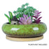 Green with Bamboo Tray