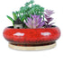 Red with Bamboo Tray