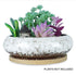 White with Bamboo Tray