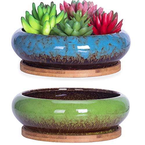 Succulent Pots, 7.3 Inch Succulent Planter Pots with Drainage Hole Pack of 2, Shallow Bonsai Pots with Tray Ceramic Flower Plant Pots for Indoor/Outdoor