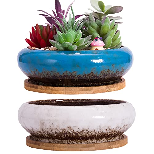 Succulent Pots, 7.3 Inch Succulent Planter Pots with Drainage Hole Pack of 2, Shallow Bonsai Pots with Tray Ceramic Flower Plant Pots for Indoor/Outdoor