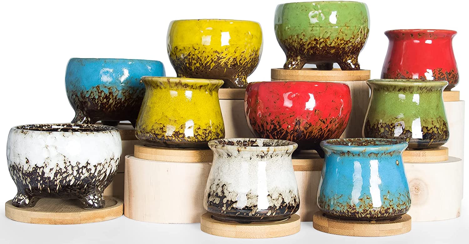 Succulent Pots, Small Succulent Planter Pots with Drainage Trays Ceramic Flower Pots for Indoor Cactus Plants Set of 10