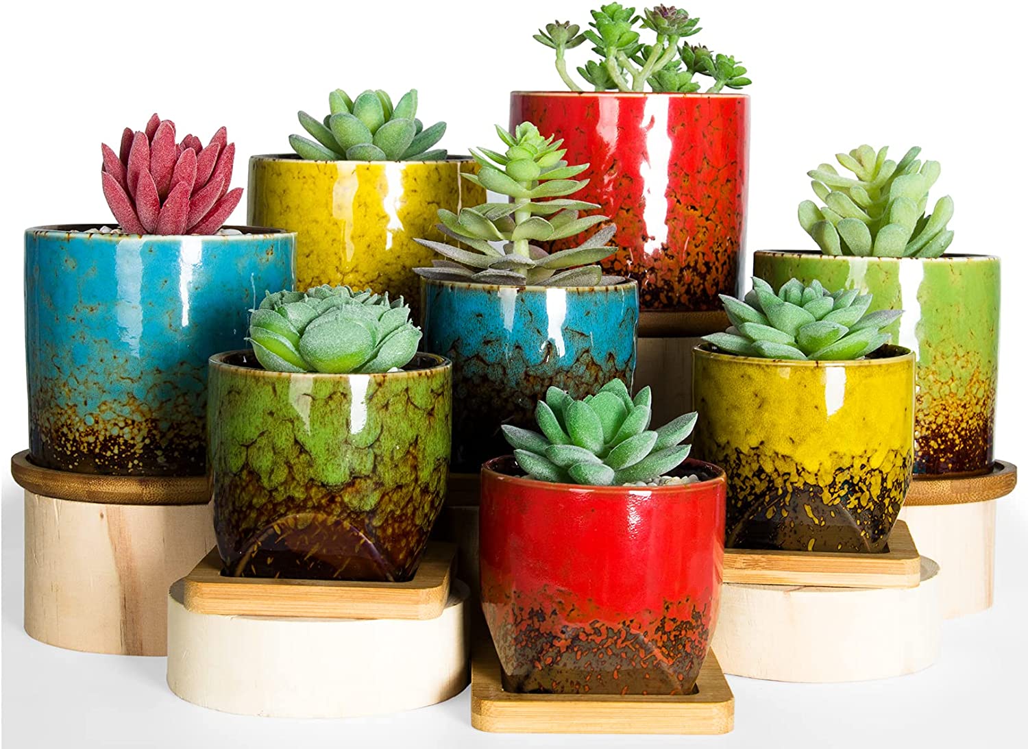  Port&Petal Small Succulent Pots with Drainage (Set of