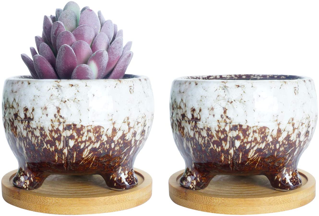ARTKETTY Pot de Fleurs, Grand Pot de Succulentes de 15,5 Cm avec Drainage Pot Rond de Bonsaï et Plateau Pot en Céramique pour Plantes de Cactus ARTKETTY Pot de Fleurs, Grand Pot de Succulentes de 15,5 Cm avec Drainage Pot Rond de Bonsaï et Plateau Pot en Céramique pour Plantes de Cactus