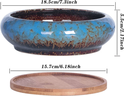 Succulent Pots, 7.3 Inch Succulent Planter Pots with Drainage Hole Pack of 2, Shallow Bonsai Pots with Tray Ceramic Flower Plant Pots for Indoor/Outdoor