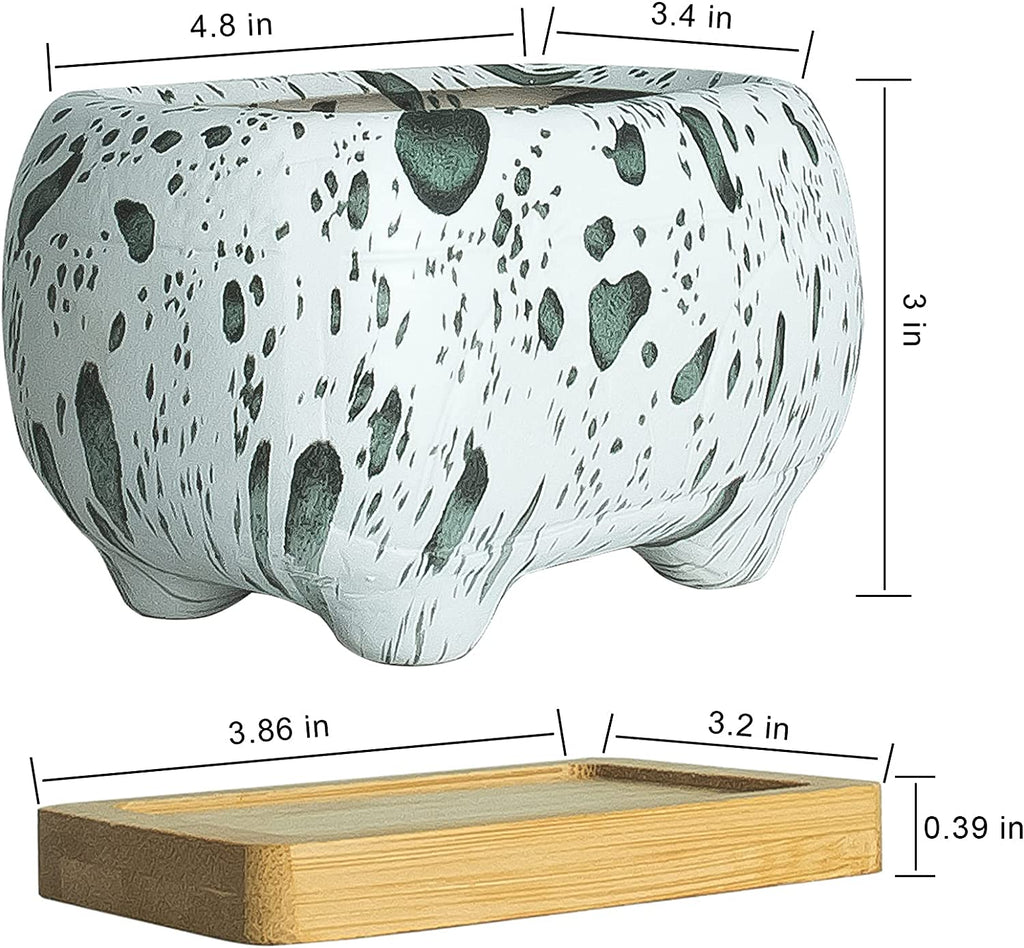 Succulent Planter, 4.7" Small Succulent Pots with Drainage Rectangular Cactus Planter with Bamboo Trays Ceramic Pots for Indoor Flower Plants Set of 5