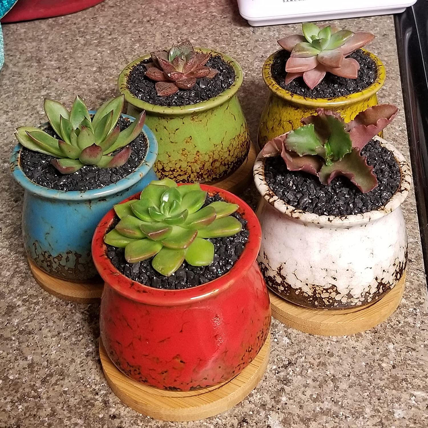 Succulent Pots, Small Succulent Planter Pots with Drainage Trays Ceramic Flower Pots for Indoor Cactus Plants Set of 10