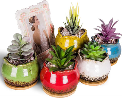 Succulent Pots, 4 Inch Small Succulent Planters Pots with Drainage Trays, Colorful Cactus Planter Ceramic Pots for Indoor Flower Plants (Pack of 5)
