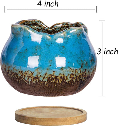 Succulent Pots, 4 Inch Small Succulent Planters Pots with Drainage Trays, Colorful Cactus Planter Ceramic Pots for Indoor Flower Plants (Pack of 5)