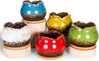 Succulent Pots, 4 Inch Small Succulent Planters Pots with Drainage Trays, Colorful Cactus Planter Ceramic Pots for Indoor Flower Plants (Pack of 5)