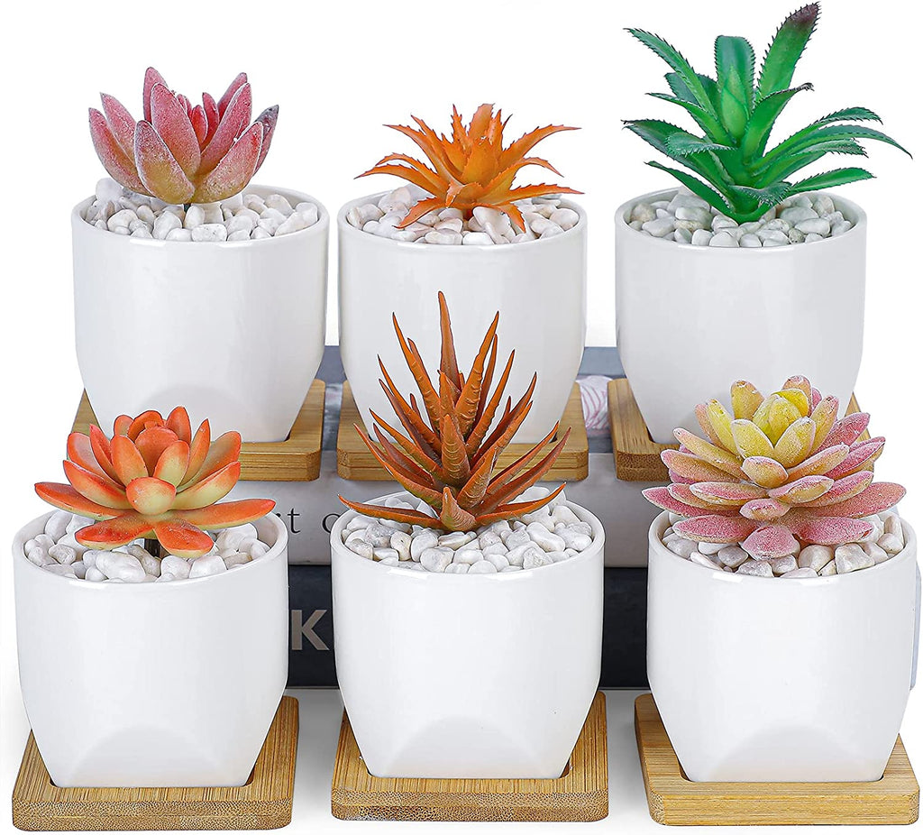 3 inch planting pots Succulent Pots with Drainage, 3 Inch Small Succulent Planter Pots wit – artketty