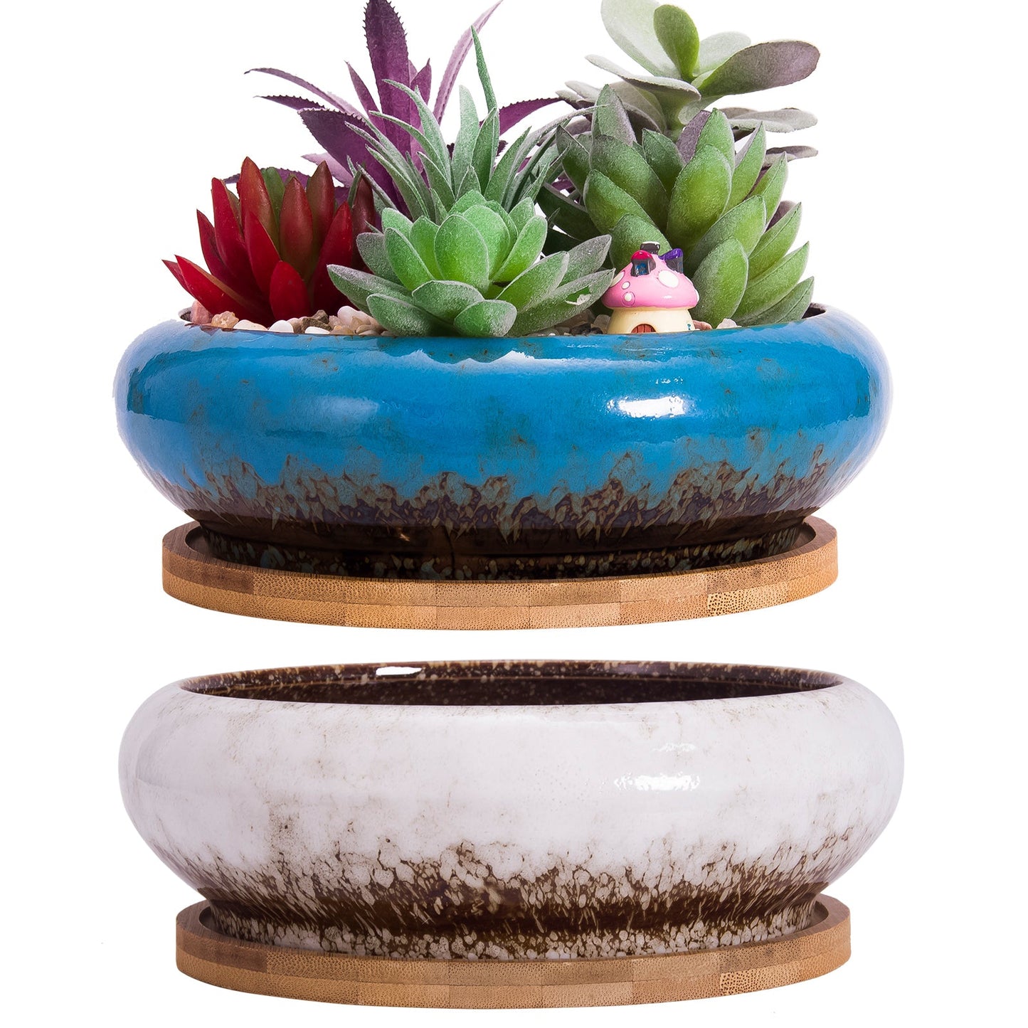 Succulent Pots, 7.3 Inch Succulent Planter Pots with Drainage Hole Pack of 2, Shallow Bonsai Pots with Tray Ceramic Flower Plant Pots for Indoor/Outdoor