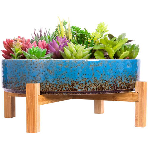 outdoor succulent pots Succulent Pot