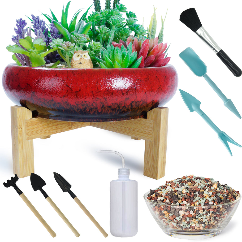 large pebbles for plant pots Succulent Pots with Drainage