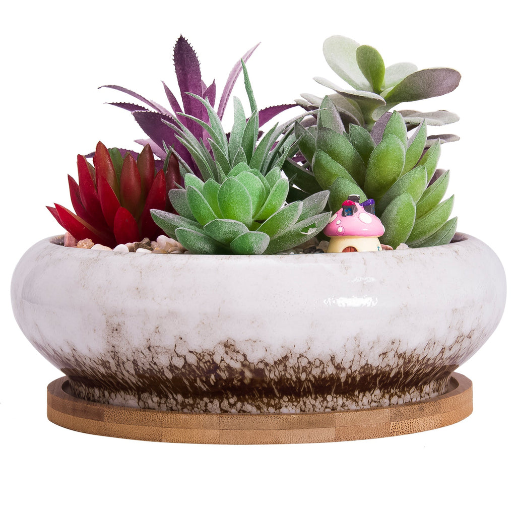 circular succulent 7.3 inch Round Succulent Planter Pots with Drainage Hole Bonsai Pots – artketty