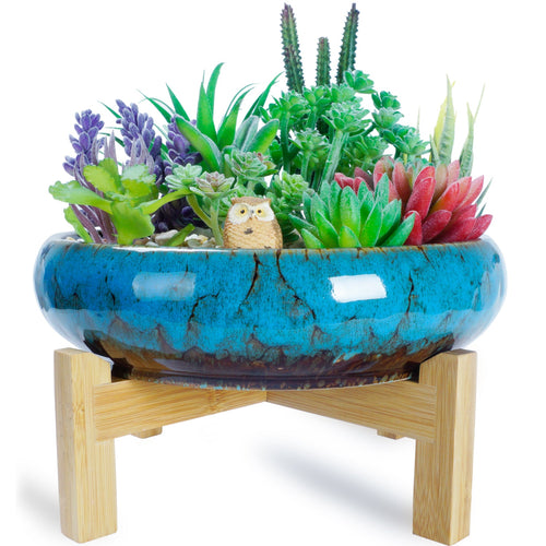 large shallow indoor planter Elegant 10-Inch Ceramic Succulent Planters with Drainage